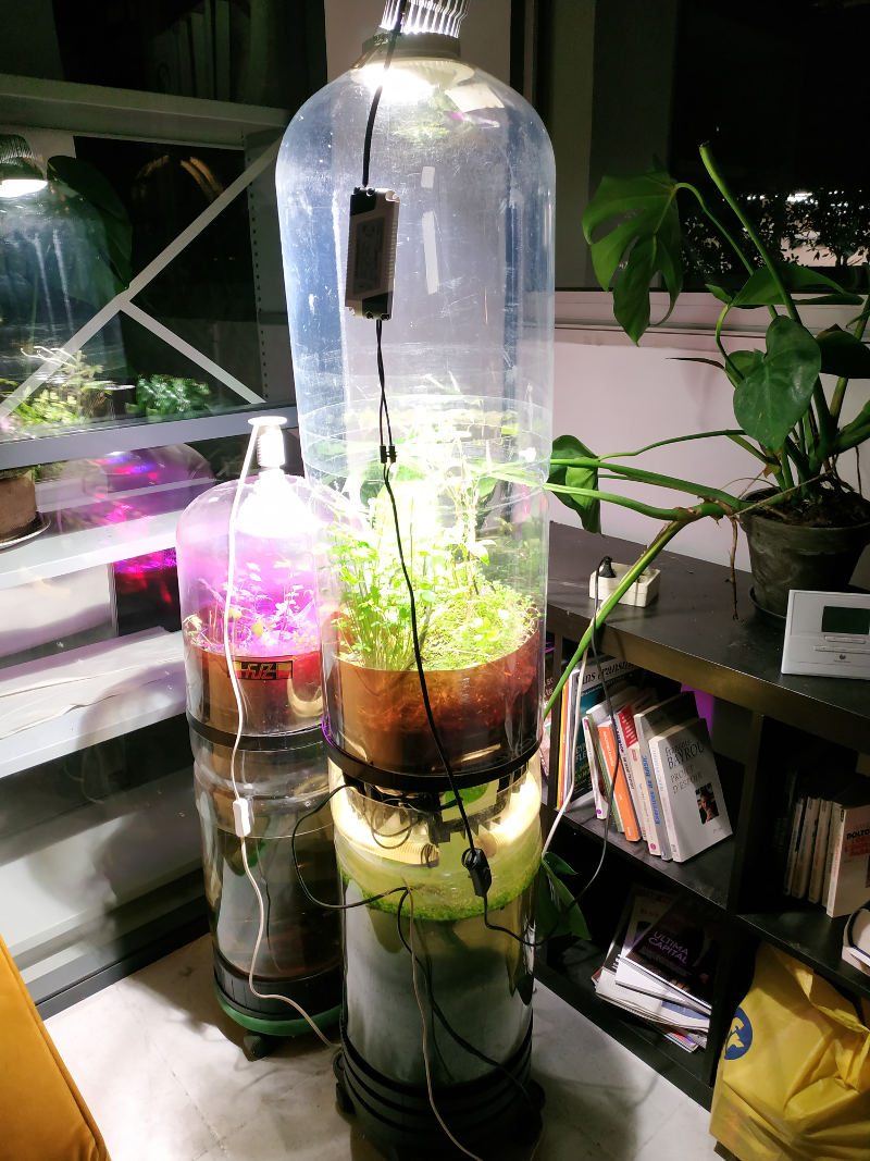 exemple de fut avec des plantes qui poussent à l'intérieur, de nuit avec l'éclairage